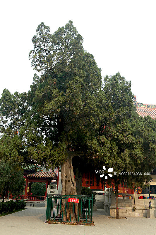 中国河北石家庄赵县柏林禅寺图片素材
