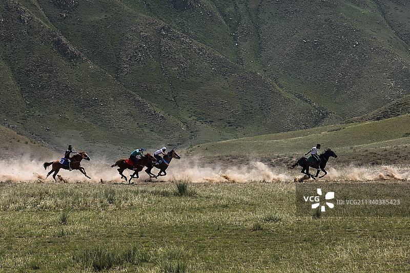 荒野赛马图片素材