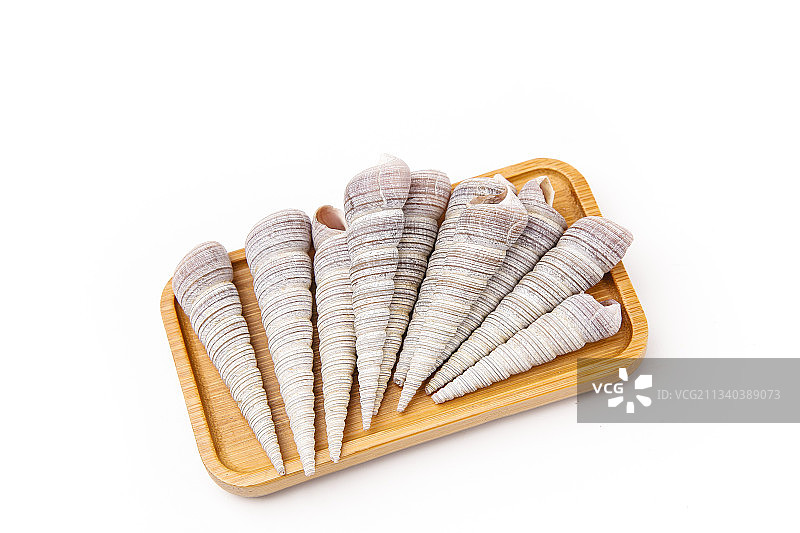 白底上的钉螺图片素材