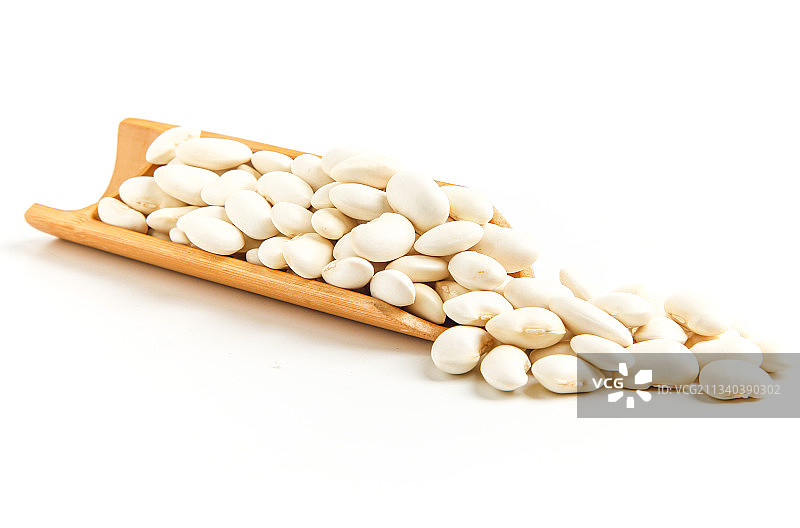 勺子里装着云南白芸豆图片素材