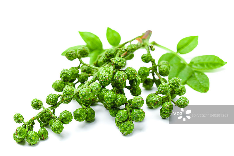 白底上的新鲜藤椒图片素材