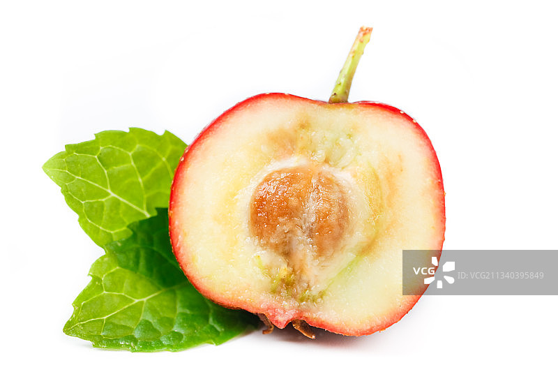 白底上放着山楂果图片素材