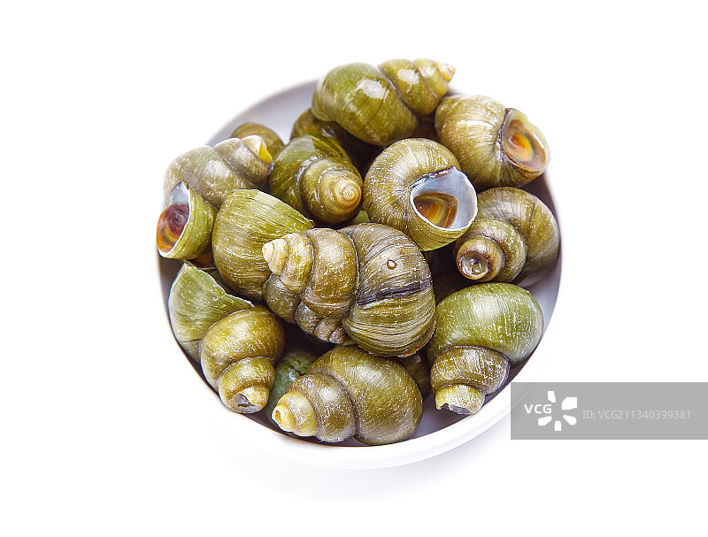 白底上放着螺蛳图片素材