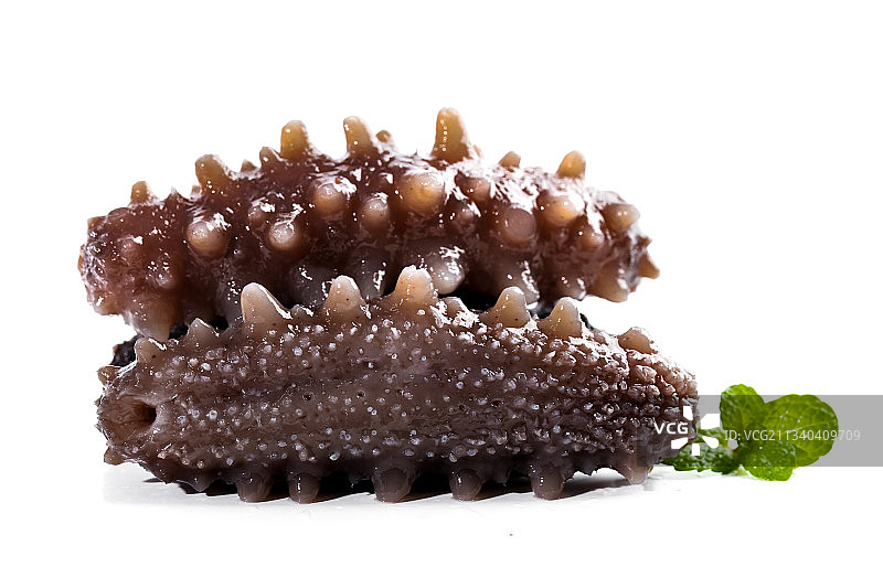 白底上的海参图片素材