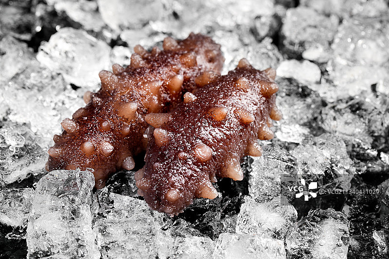 黑底上的冰镇海参图片素材