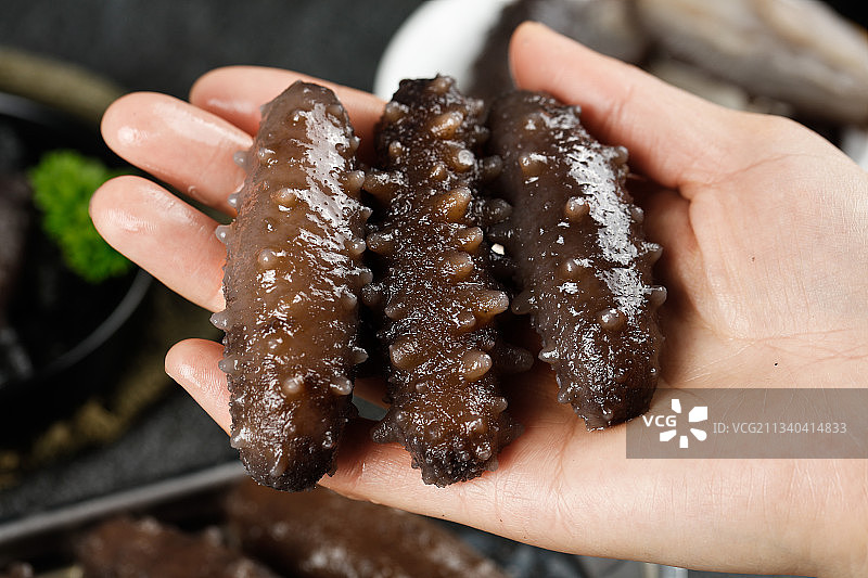 手拿海参图片素材