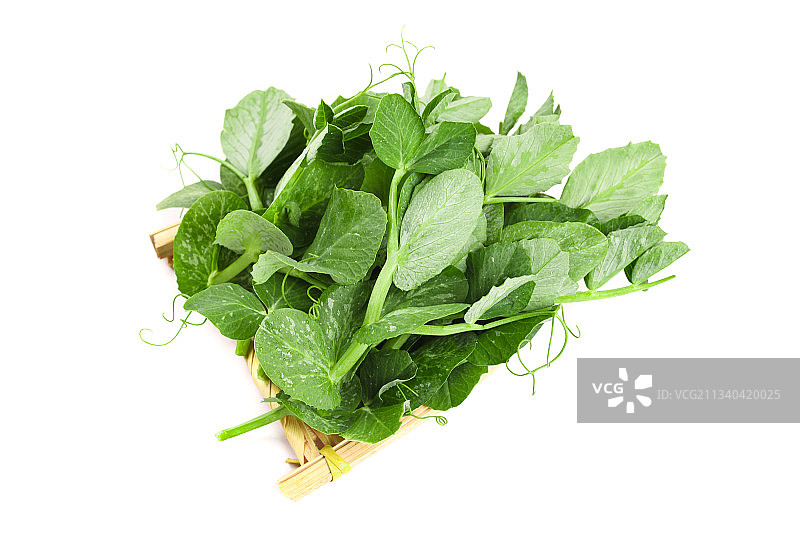 白底上摆放着新鲜豌豆苗图片素材