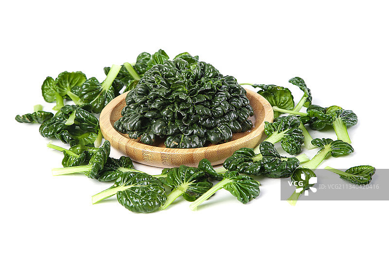 白底上的菊花菜图片素材