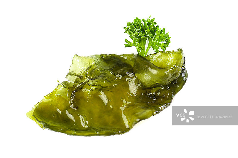 白底上的地皮菜图片素材