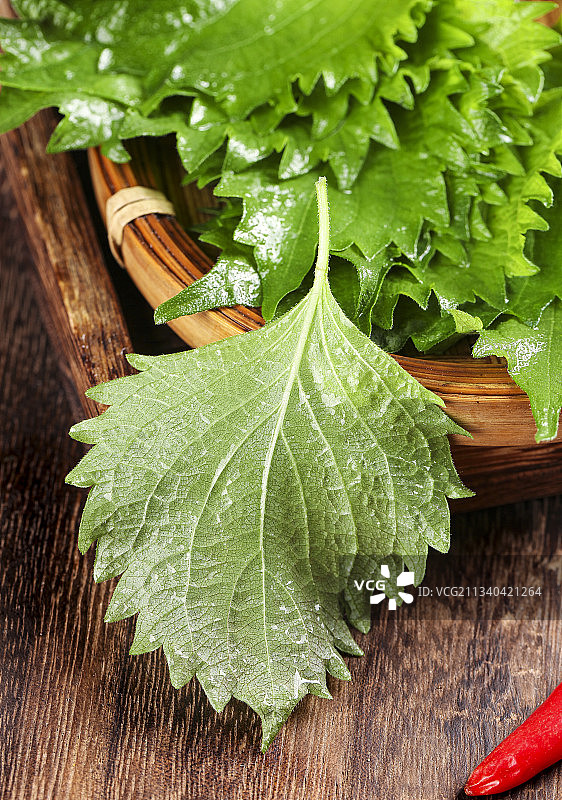 木底上的紫苏叶图片素材