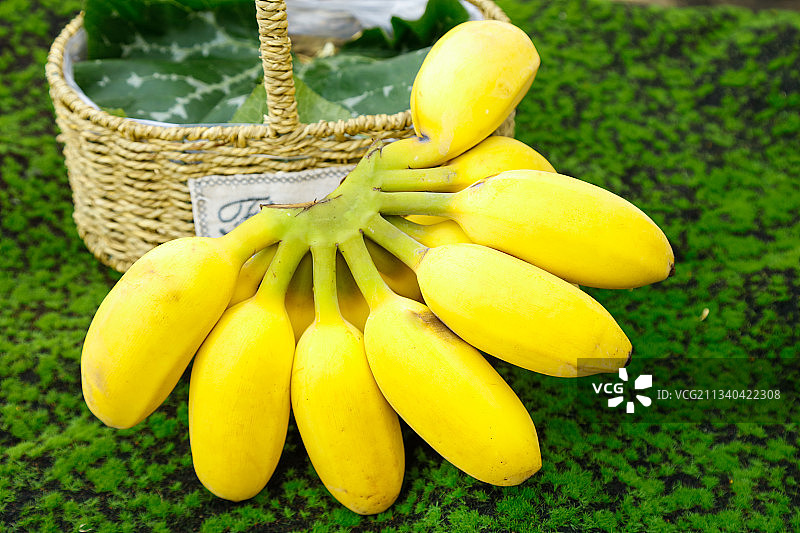 草地上放着一把海南苹果蕉图片素材