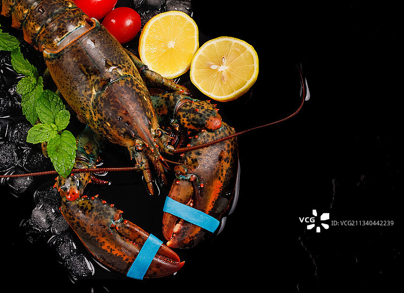 黑底上放着波士顿龙虾图片素材