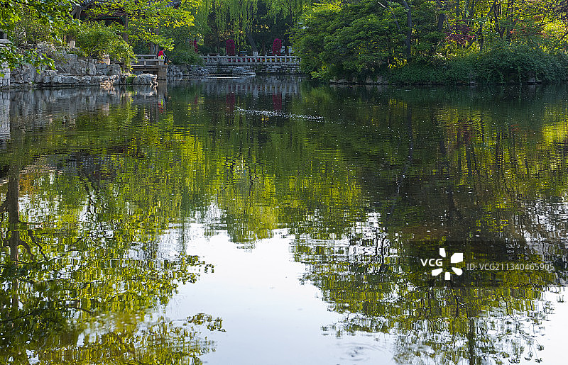 2011-04-27中国，山东省。济南市，趵突泉公园图片素材