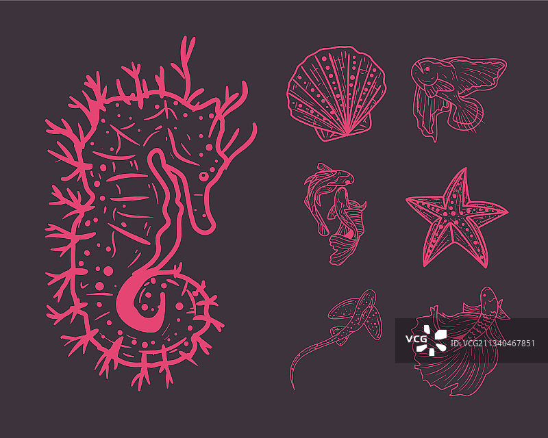 海马和图标集图片素材