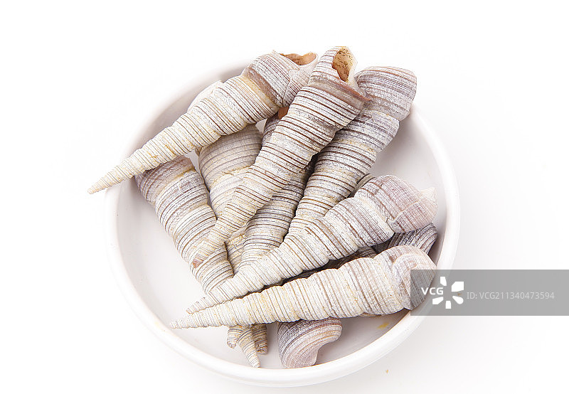 白底上的钉螺图片素材