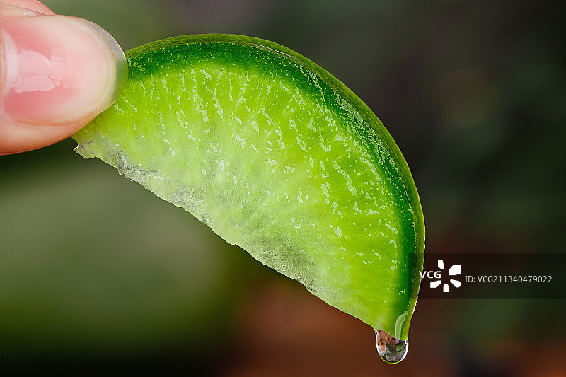 手里拿着萝卜图片素材