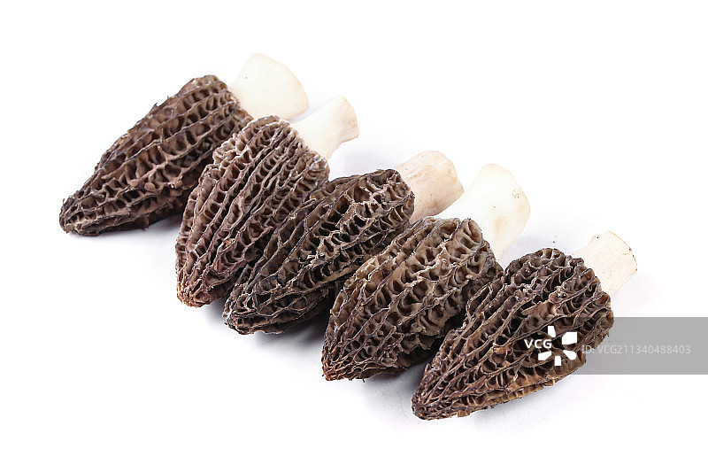 白底上摆放着羊肚菌图片素材