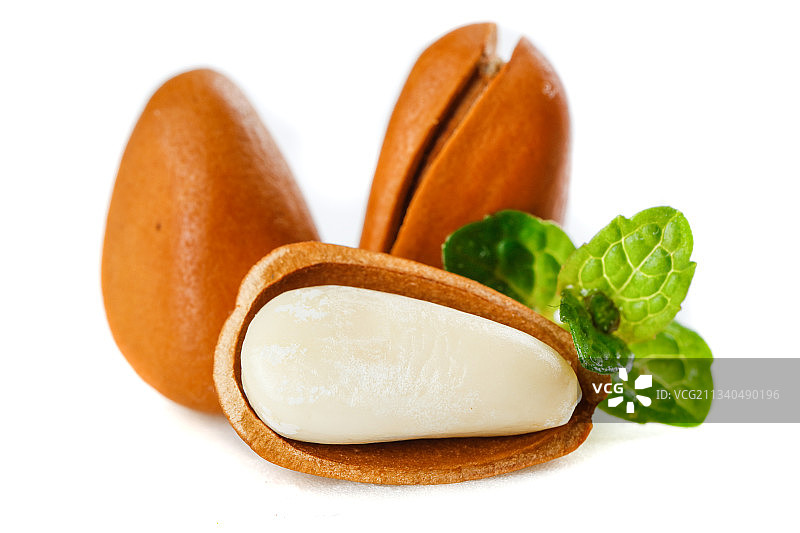 白底上放着巴西松子图片素材