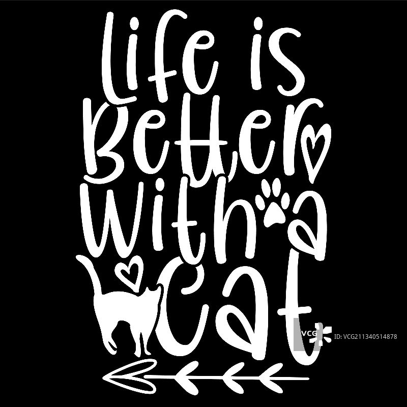 有猫的生活更美好温馨居家猫咪休憩图片素材