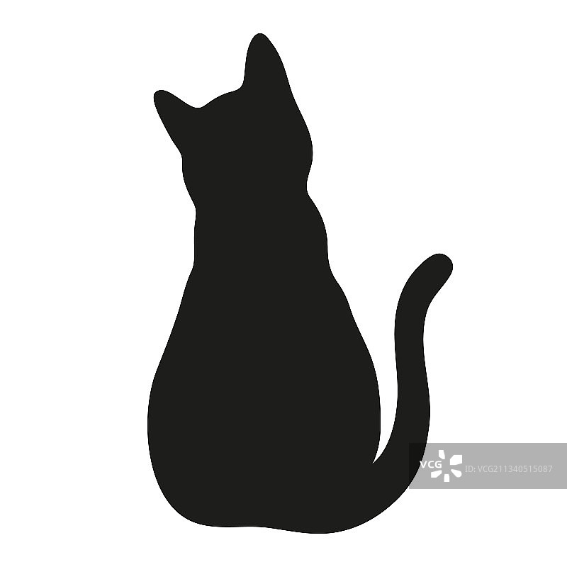 白色背景上的猫图片素材