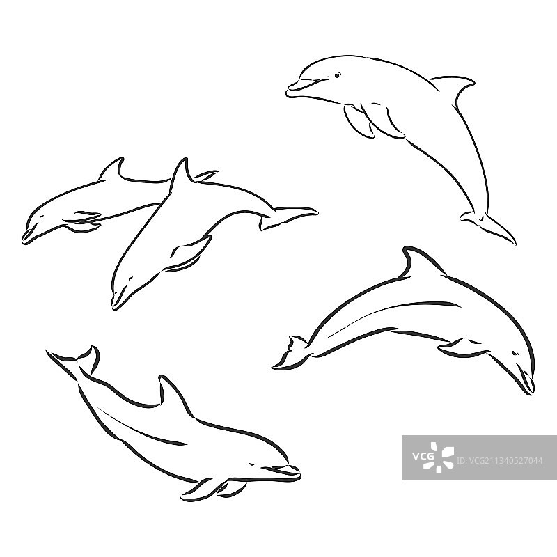 海豚线条艺术手绘涂鸦图片素材