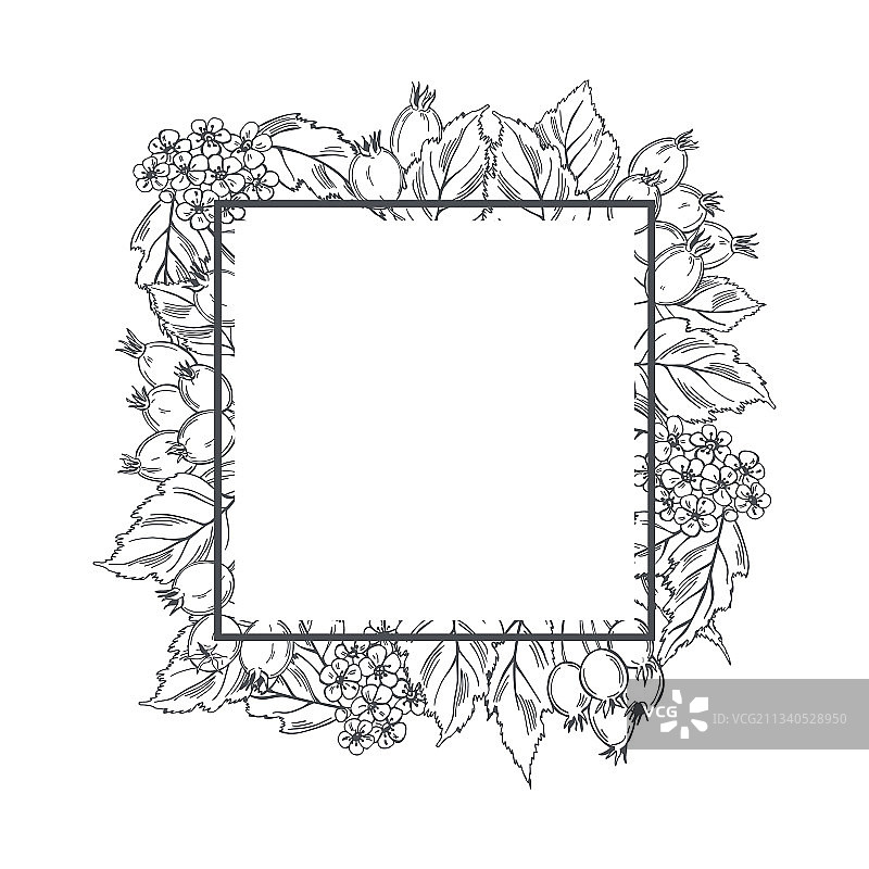 山楂边框图片素材