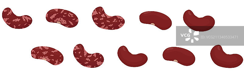 肾脏红豆扁豆分离图图片素材