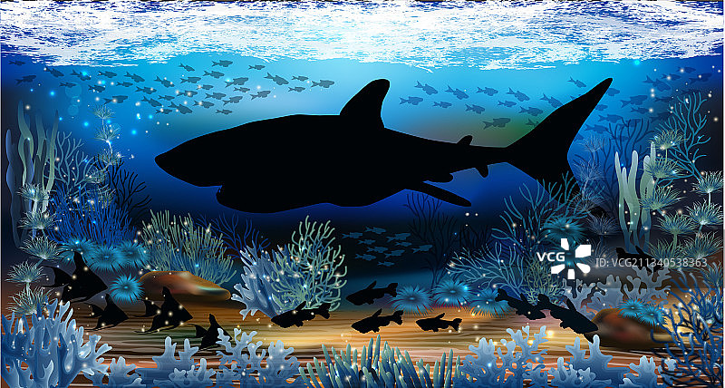 带鲨鱼的水下壁纸图片素材