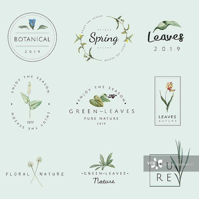 自然植物标志合集图片素材