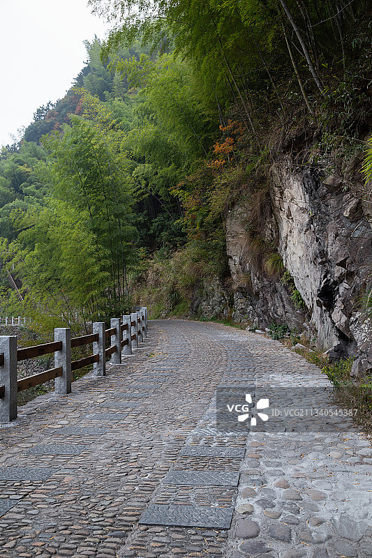 山林里的小径图片素材