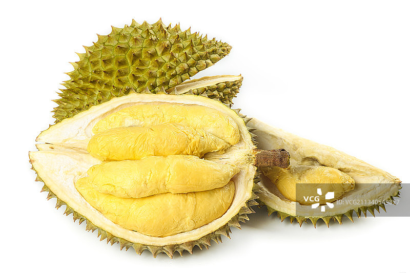白底上摆放着金枕头榴莲图片素材