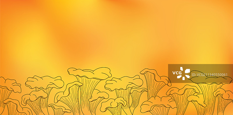 带有鸡油菌的模糊橙红色背景图片素材