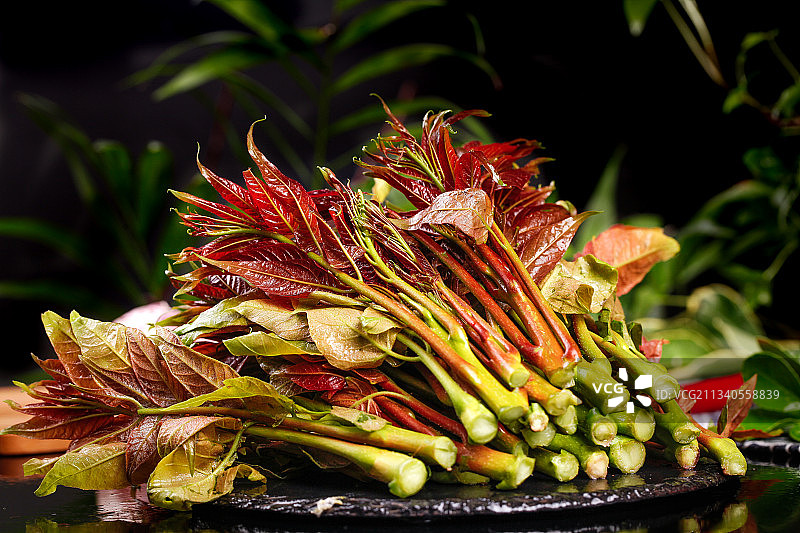 深底上放着香椿芽图片素材