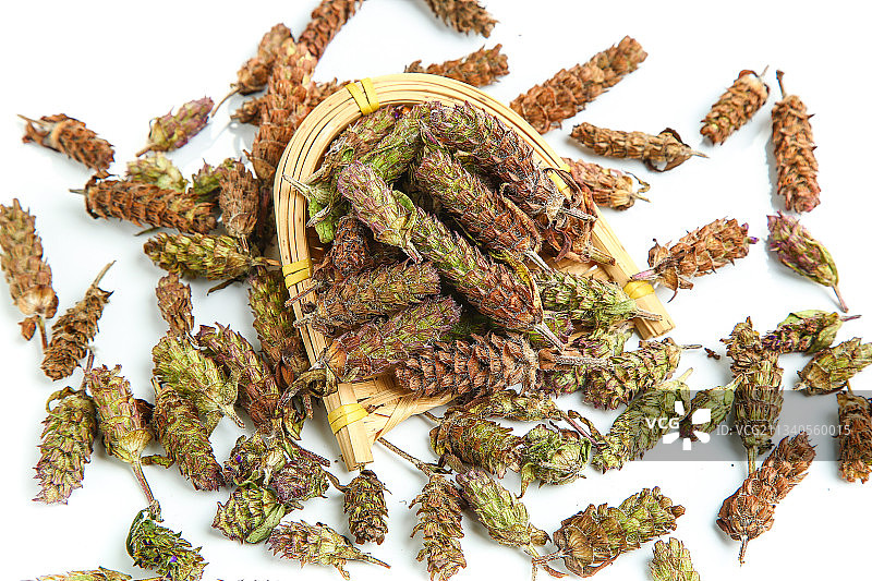 白底上放着夏枯草图片素材