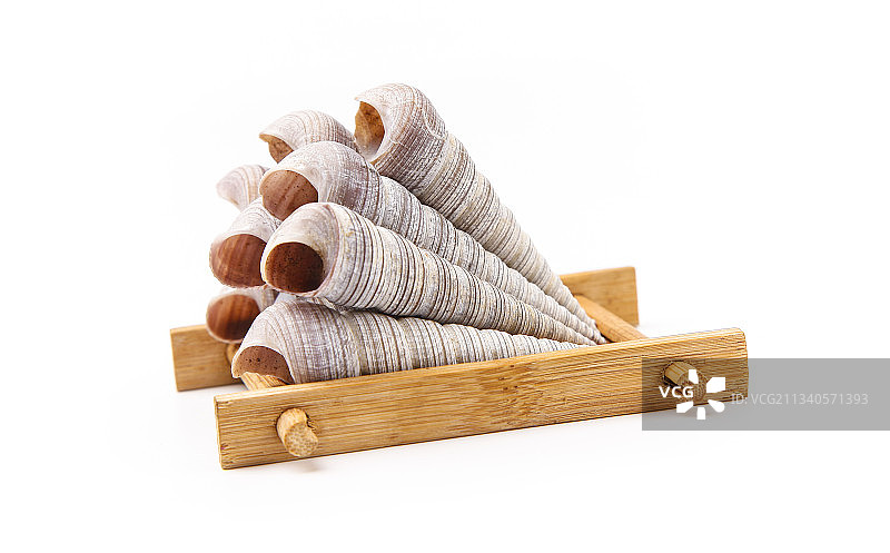 白底上的钉螺图片素材