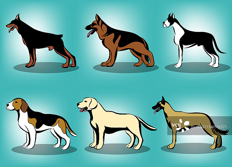 各种颜色的狗，如德国牧羊犬图片素材