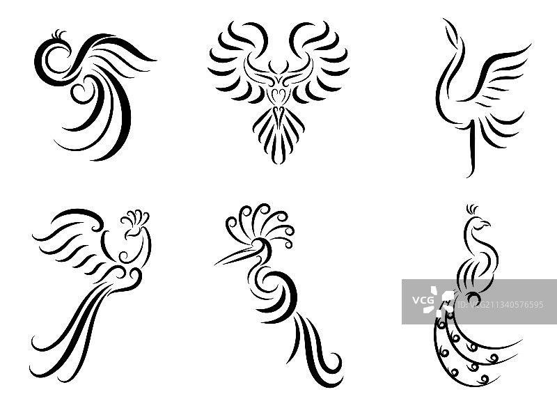 六张精美线条艺术图片素材图片素材