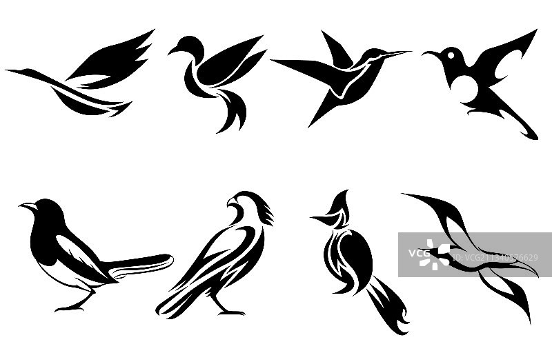 各种鸟类图片合集，如苍鹭图片素材