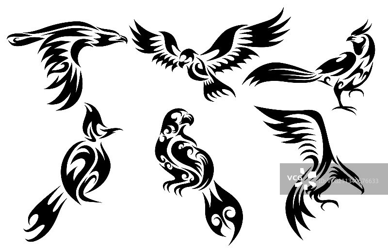 六张各种鸟类图片，如鹰图片素材