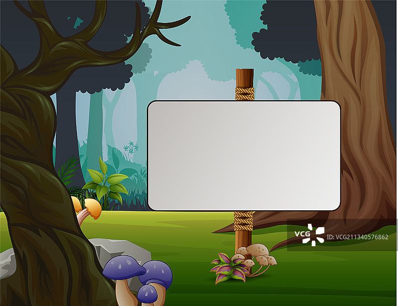 森林背景中的空白标志图片素材