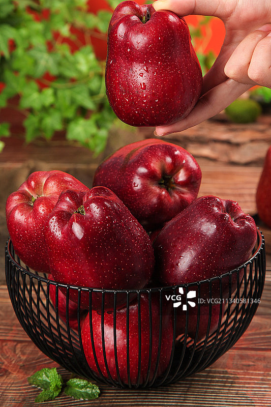 手里捧着红蛇果图片素材