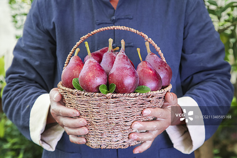 手拿一筐红啤梨图片素材