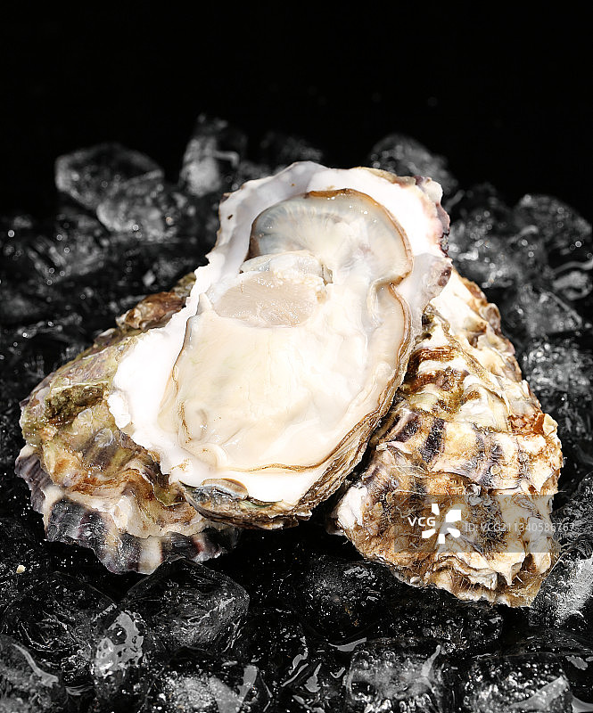 黑底上剥开的乳山生蚝图片素材