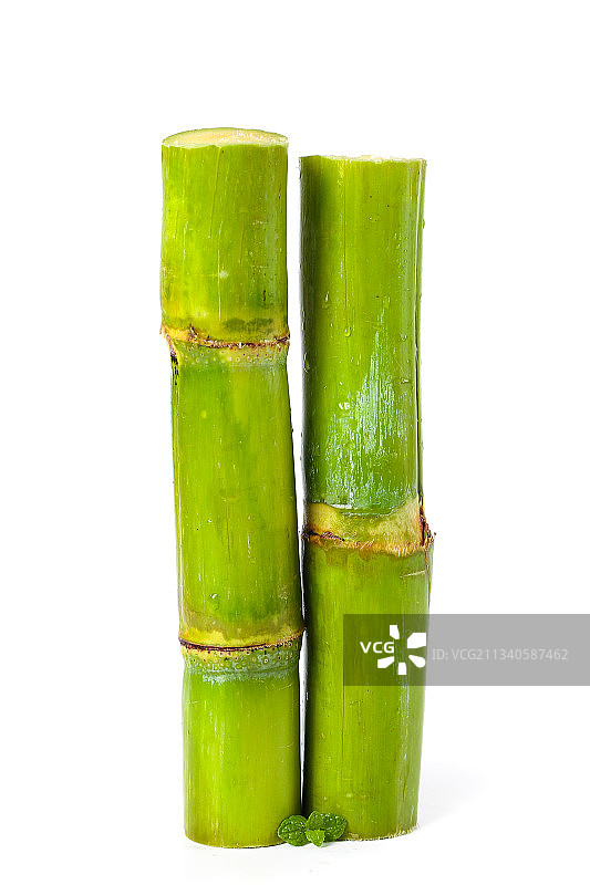 白底上的陶山青皮甘蔗图片素材