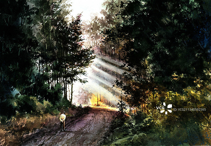 治愈系深林风光水粉插画图片素材