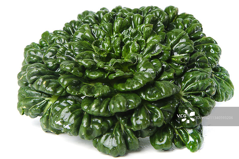 白底上的菊花菜图片素材