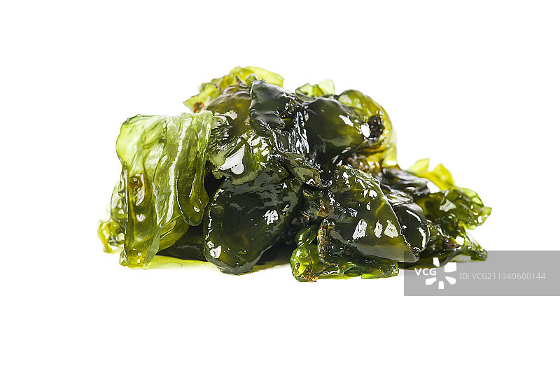 白底上的地皮菜图片素材