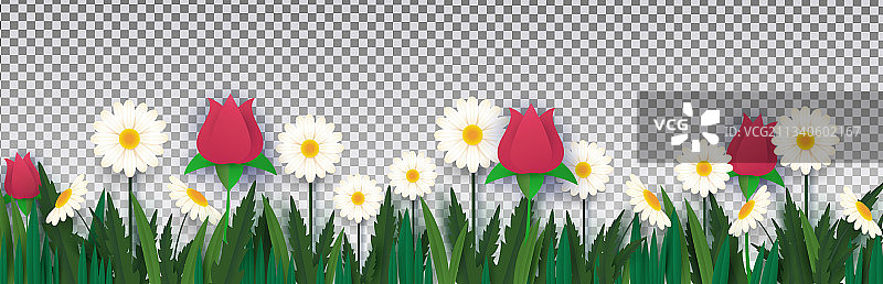 草地上的白色雏菊和玫瑰图片素材
