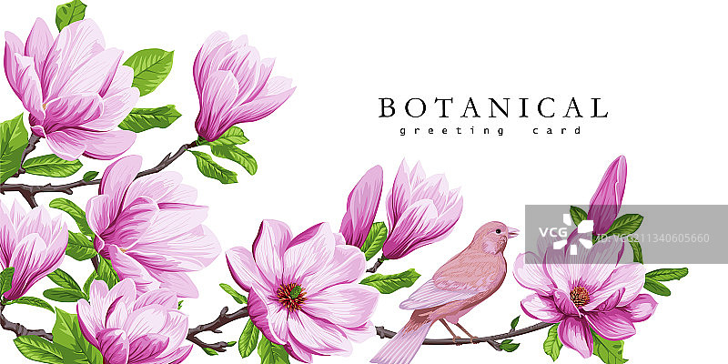 玉兰花春季贺卡图片素材