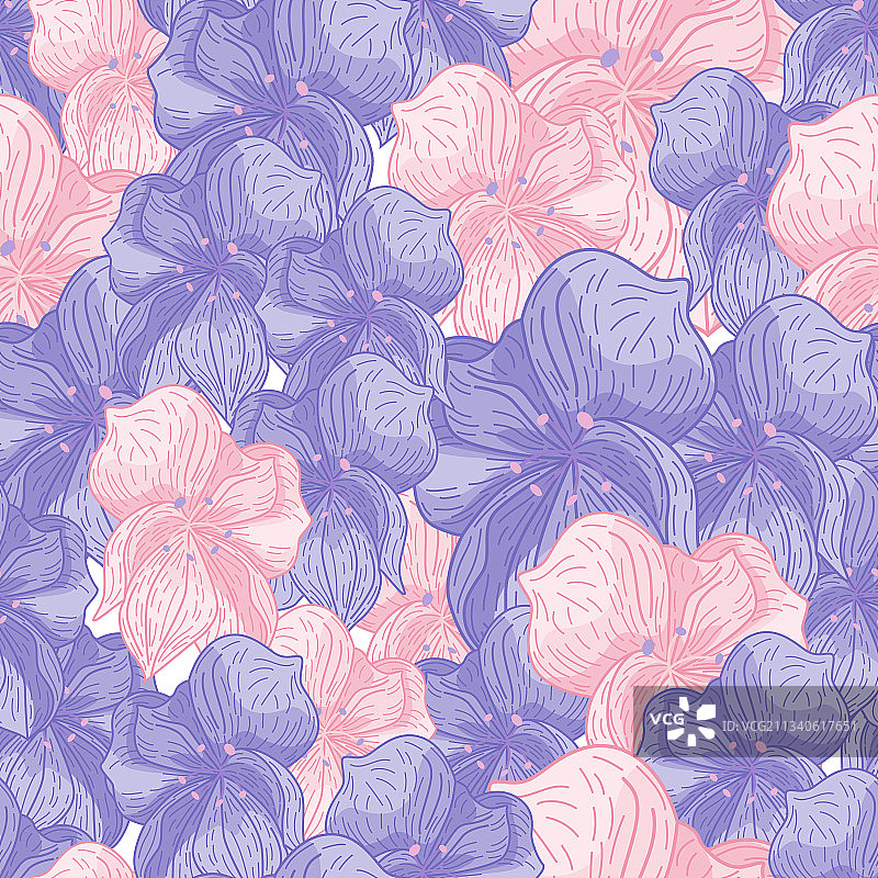 粉色和蓝色兰花轮廓花朵图片素材